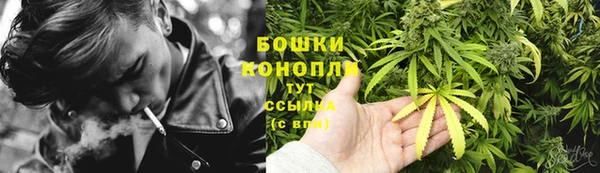 ПСИЛОЦИБИНОВЫЕ ГРИБЫ Богородицк